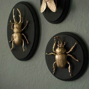 Artisanat unique à fabriquer et à vendre : Gilded Insect Faux Taxidermy