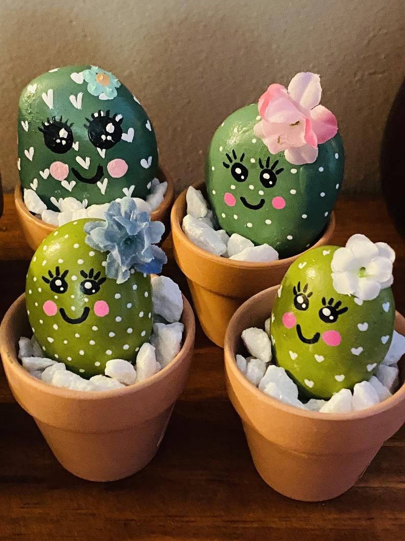 Cactus mignon peint des roches