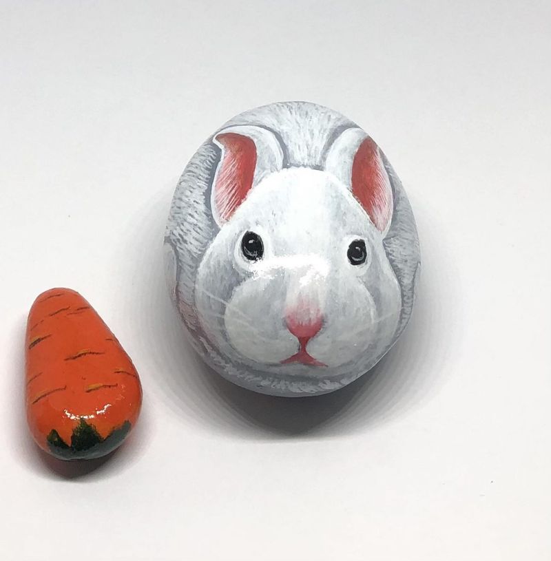 Roches peintes lapin et carotte