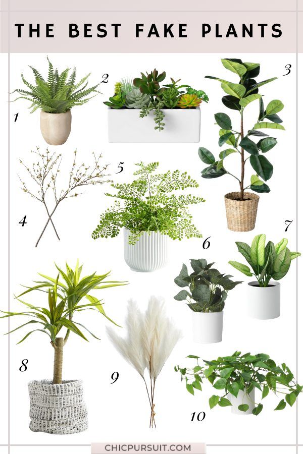 أفضل النباتات الصناعية والنباتات الاصطناعية والنباتات المقلدة لمنزلك