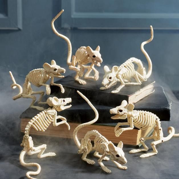 Białe myszy szkieletowe do najlepszych dekoracji na Halloween