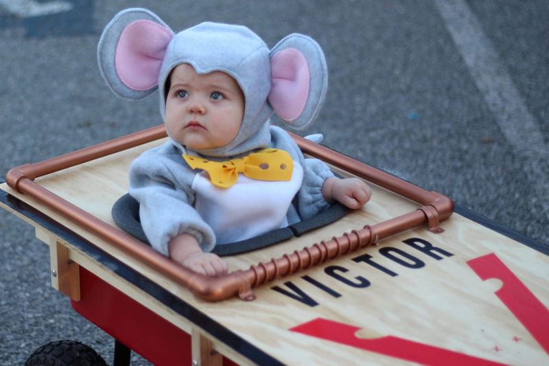 زي الفأر في فخ هالوين للأطفال