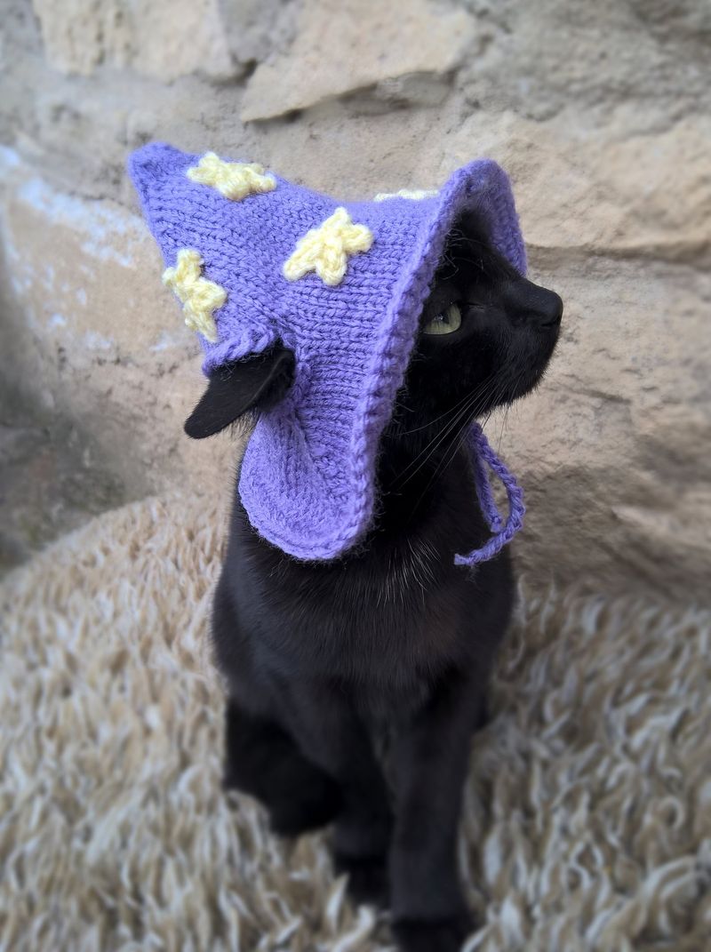 Kediler için mor cadı şapkası Cadılar Bayramı kostümleri