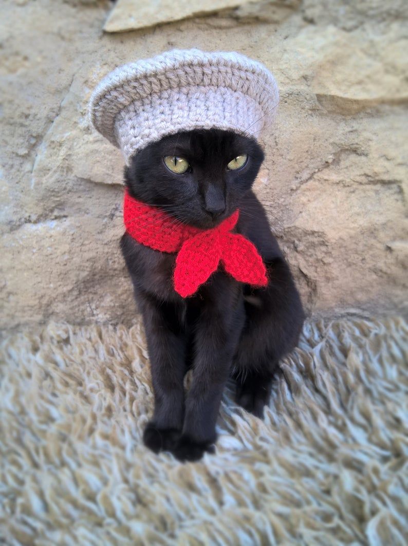 Fransız fırıncı kedi Cadılar Bayramı kostümleri