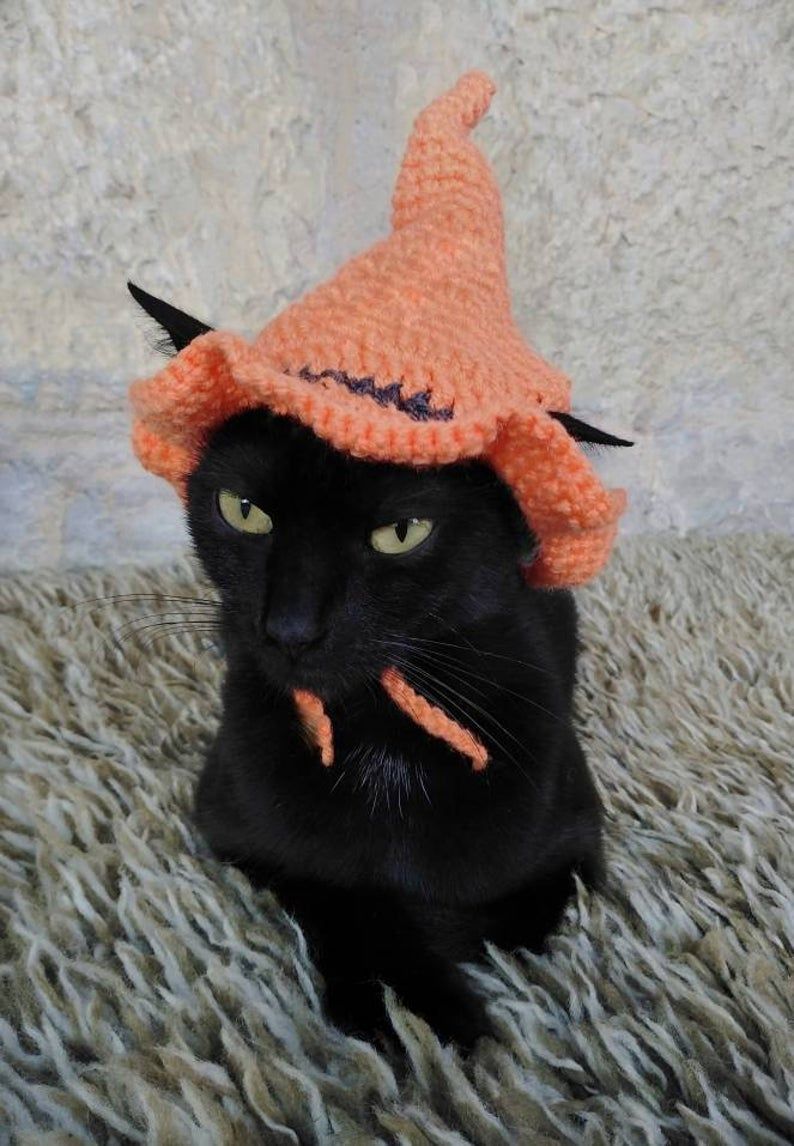 الساحرة البرتقالية قبعة القط هالوين زي