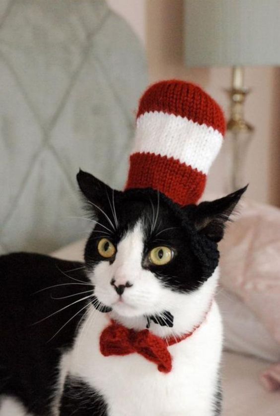 Cadılar Bayramı için Şapkalı Şirin Kedi kostümü