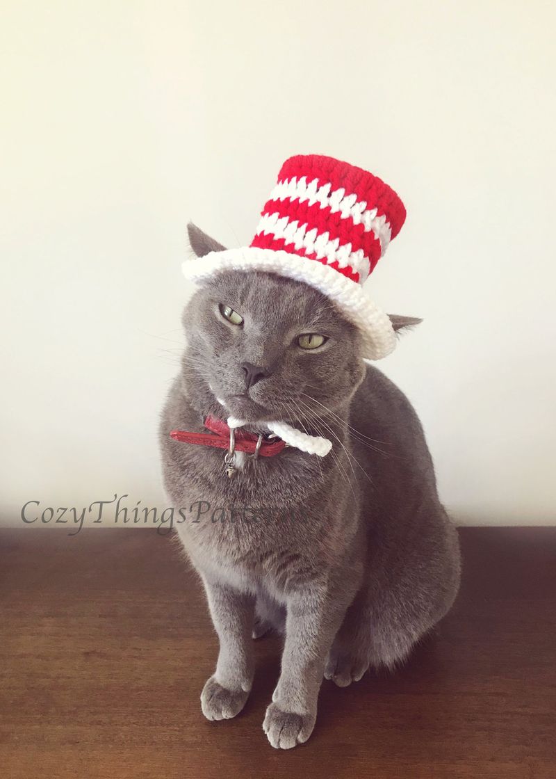 Şapkalı Kedi Kedi Cadılar Bayramı kostümleri