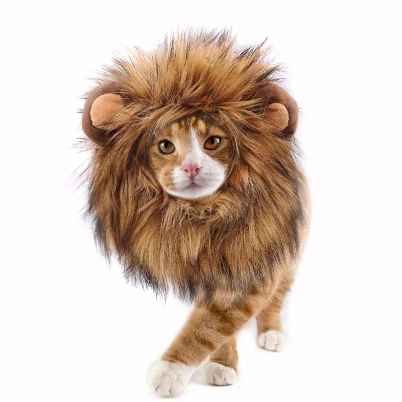 kedi aslan kostümü