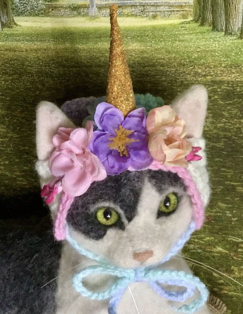 Cadılar Bayramı için tek boynuzlu at kedi kostümleri