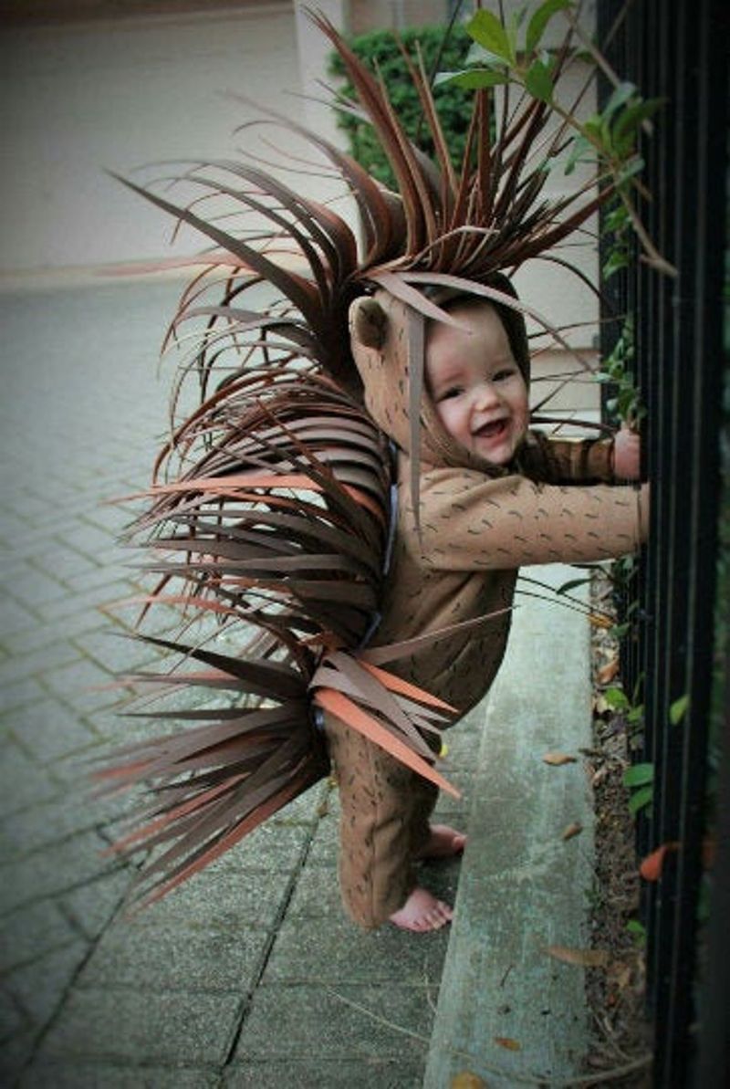 طفل النيص لأزياء هالوين طفل صغير