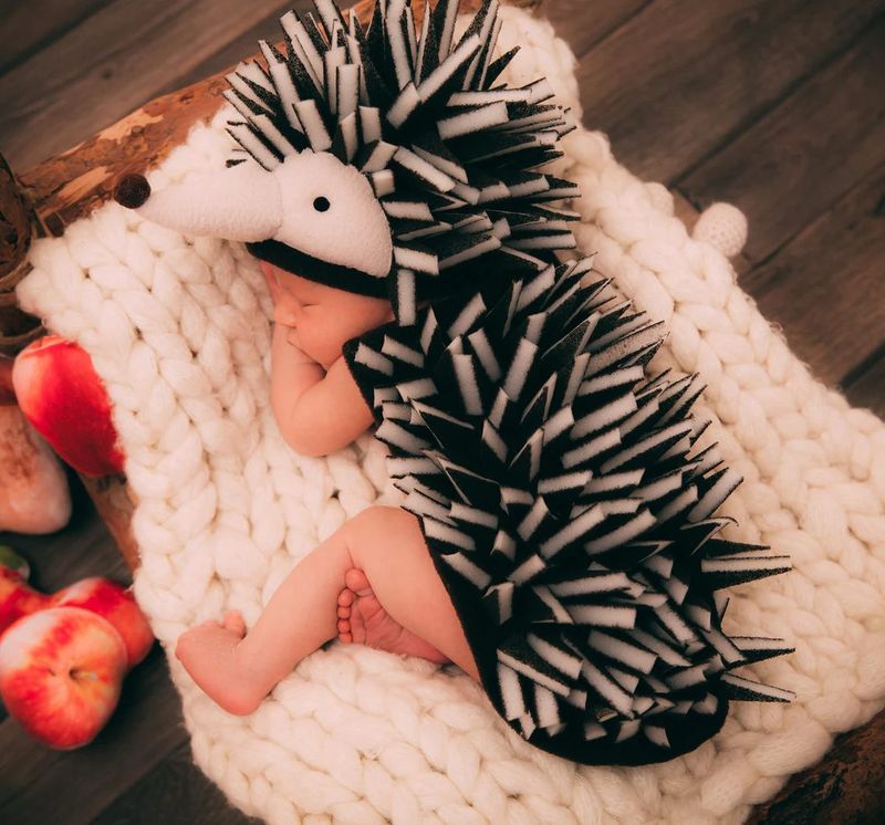 Simpatičan kostim ježa za Noć vještica za novorođenčad