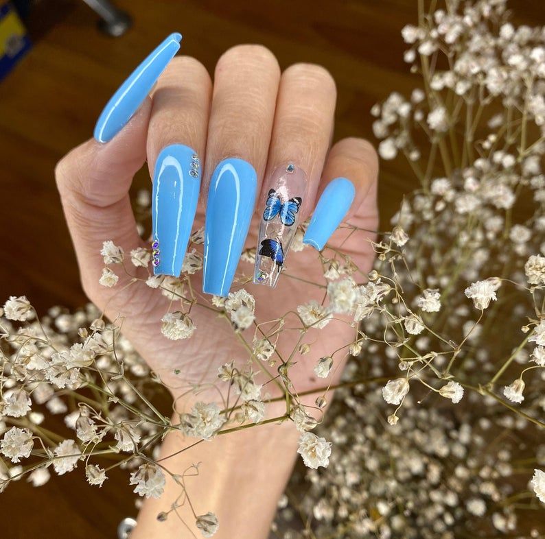 Plavi i prozirni dizajn leptira za nokte lijesa
