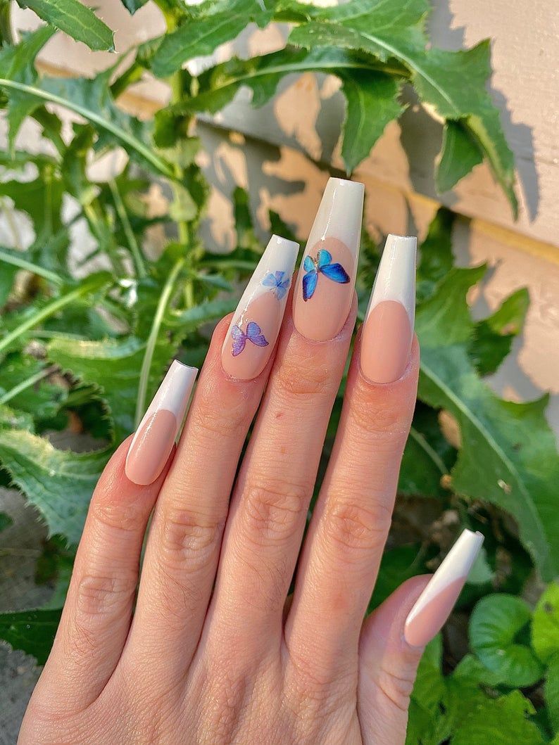 Goli nokti s plavim leptirima za nokte lijesa