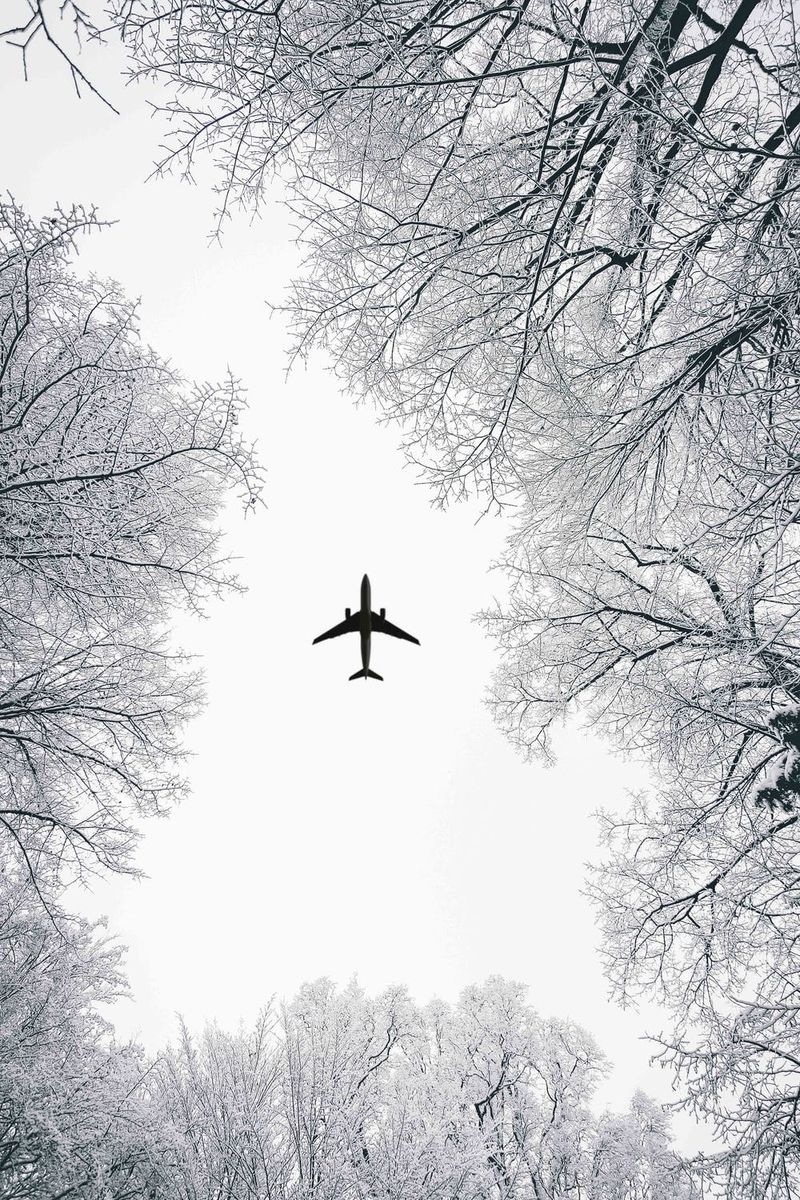 Zimska pozadina za iPhone sa snijegom prekrivenim drvećem i avionom