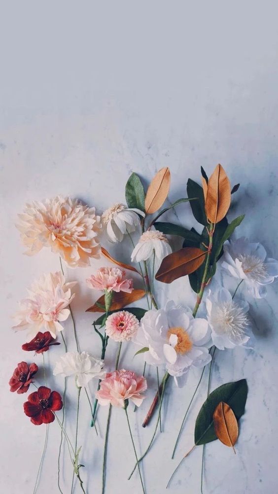 Lijepa estetska pozadina s cvijećem za iPhone