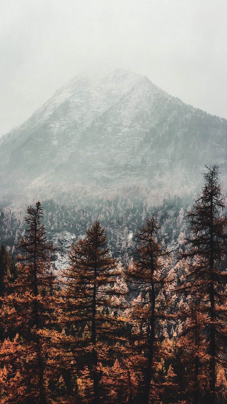 Jesenska pozadina za iPhone s planinskim i jesenjim lišćem