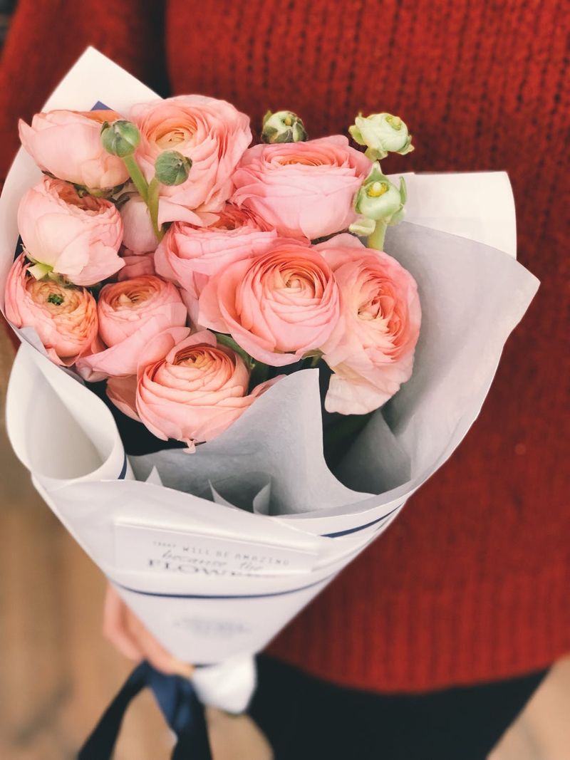 Pozadine za iPhone ružičaste božure, pozadine s lijepim cvijećem